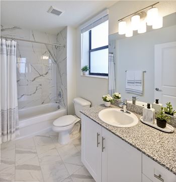 Luxury tub/shower combos